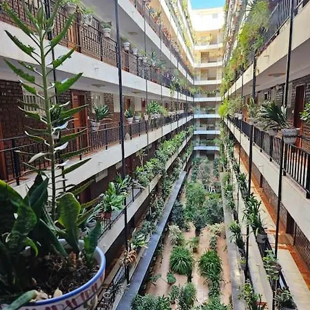 Patio Verde In *